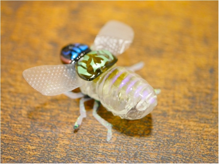 truth ブログ写真 2019/07/11