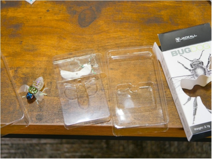 truth ブログ写真 2019/07/11