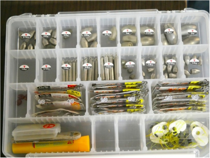 truth ブログ写真 2019/07/11