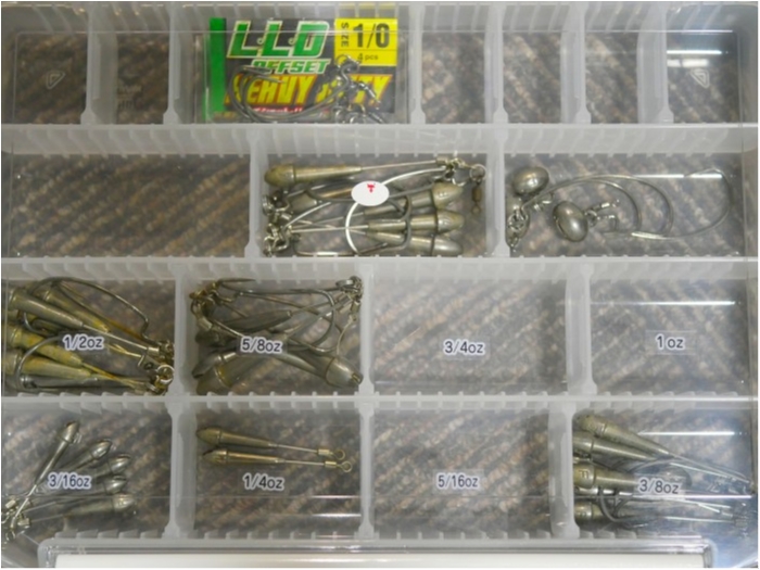 truth ブログ写真 2019/07/11