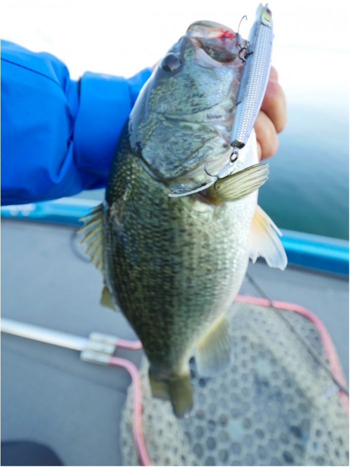 truth  ブログ写真 2019/07/31