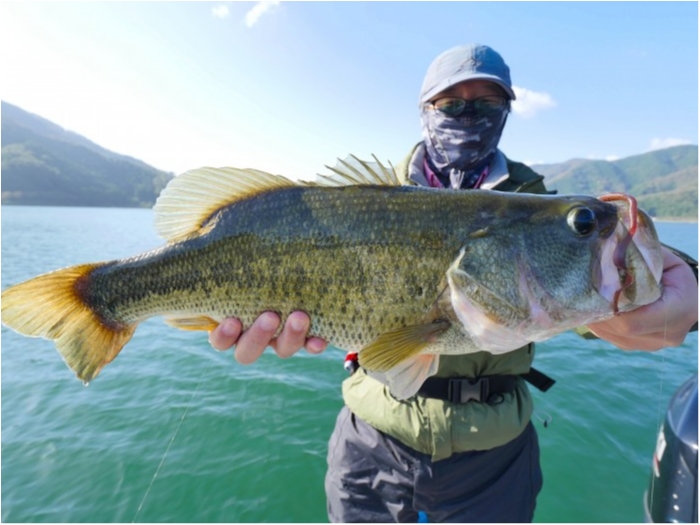 truth  ブログ写真 2019/07/31