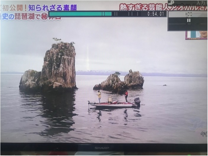 truth ブログ写真 2019/08/05