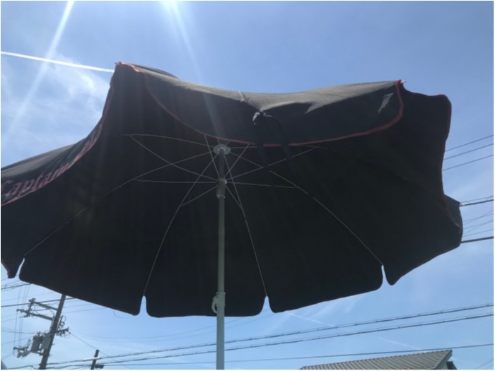 truth  ブログ写真 2019/08/10