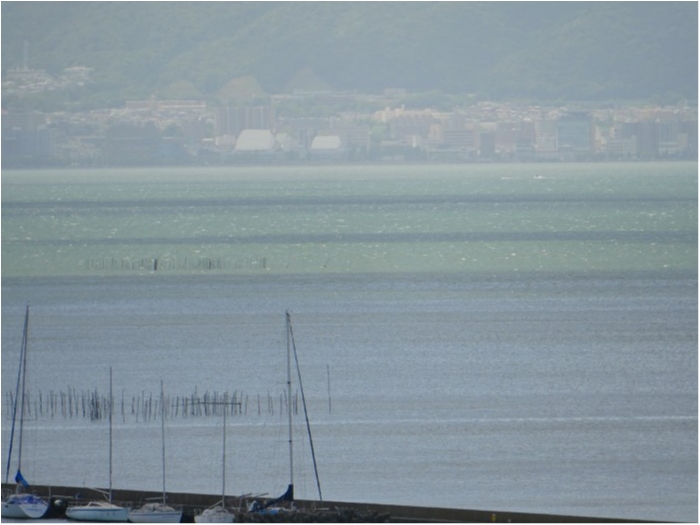 truth  ブログ写真 2019/08/14