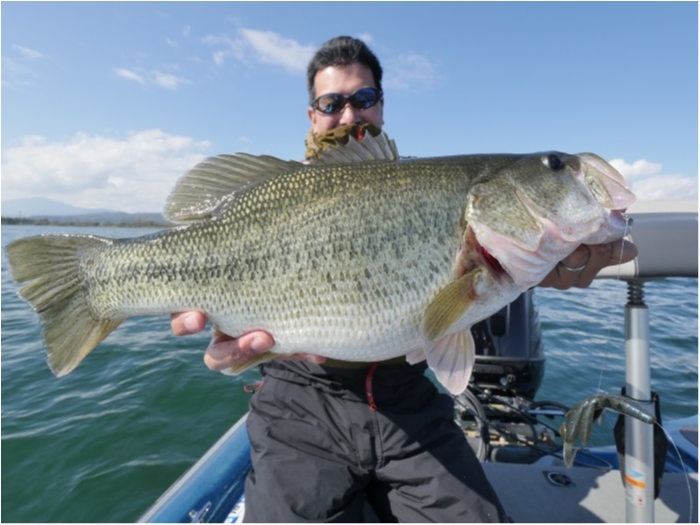 truth  ブログ写真 2019/09/01