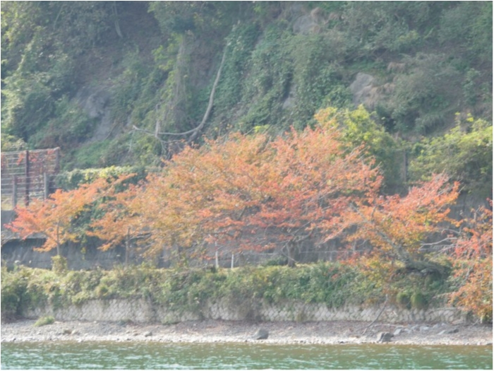 truth  ブログ写真 2019/09/01