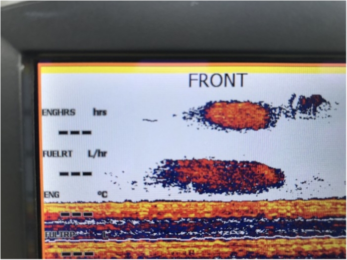 truth  ブログ写真 2019/09/01