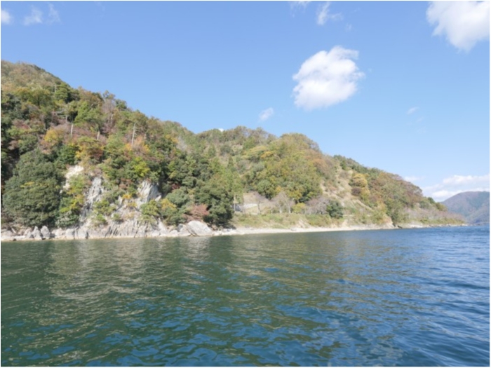 truth  ブログ写真 2019/09/01