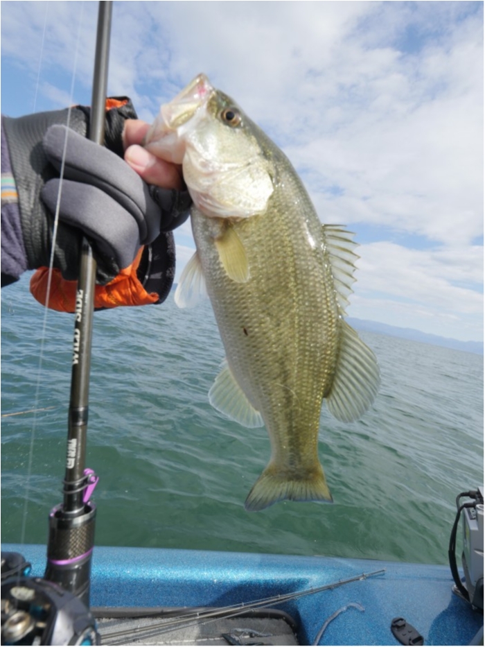 truth  ブログ写真 2019/09/01