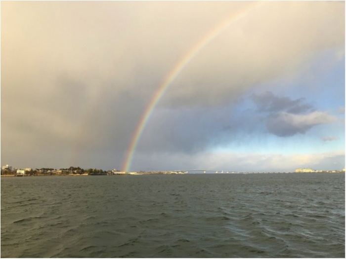 truth  ブログ写真 2019/09/30