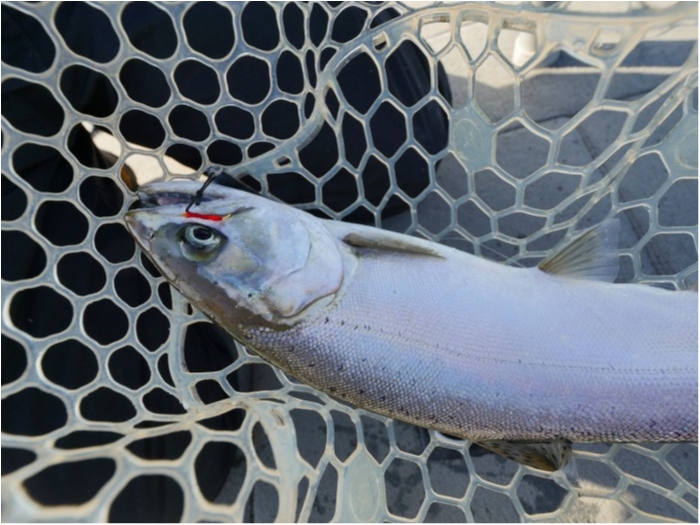 truth  ブログ写真 2019/09/30