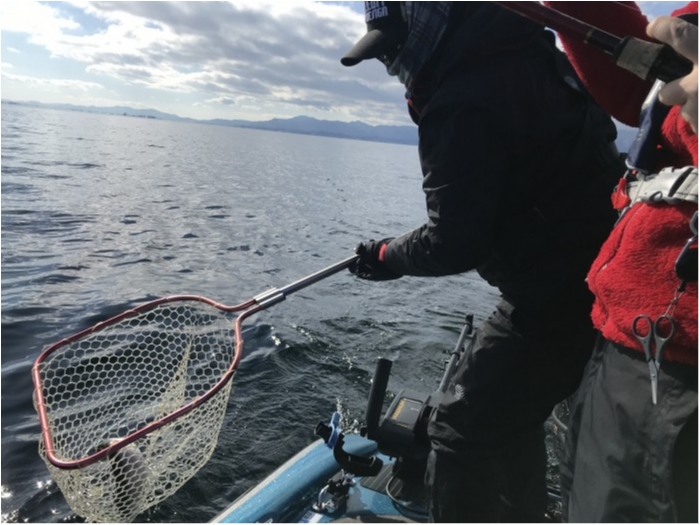 truth  ブログ写真 2019/11/01