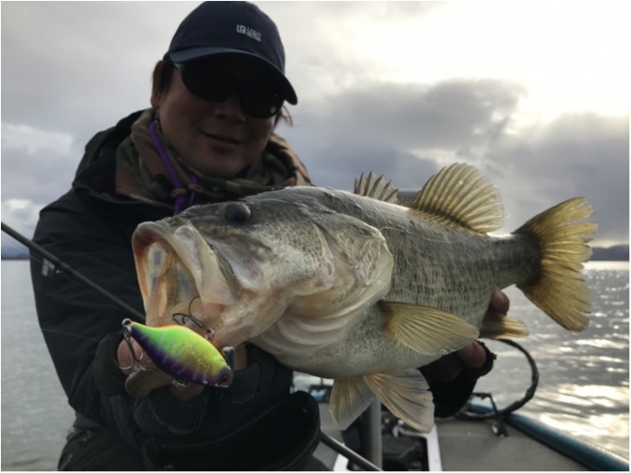 truth  ブログ写真 2019/11/01