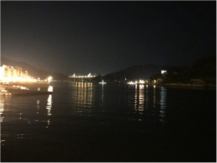 truth  ブログ写真 2019/11/04