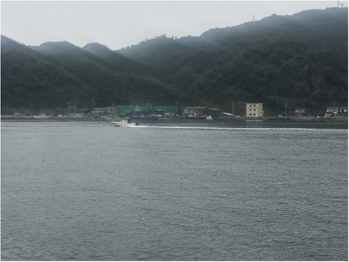 truth  ブログ写真 2019/11/04