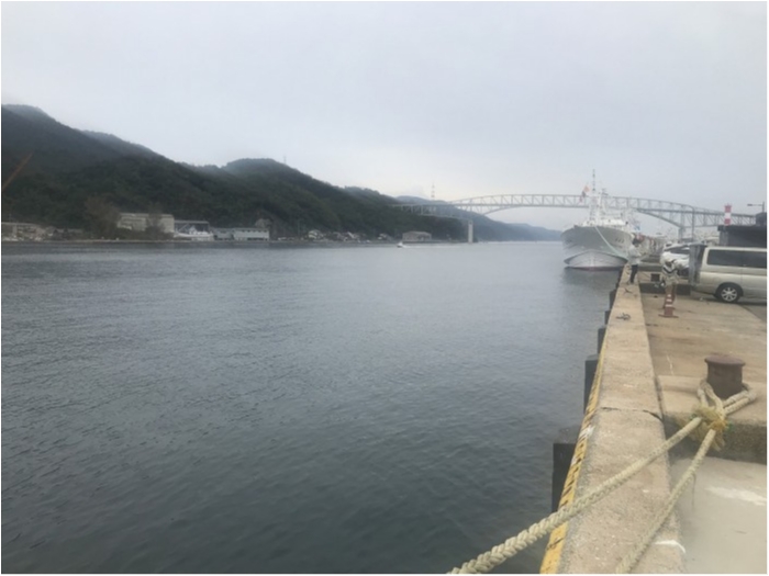 truth  ブログ写真 2019/11/04