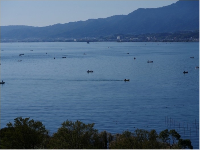 truth  ブログ写真 2019/11/09