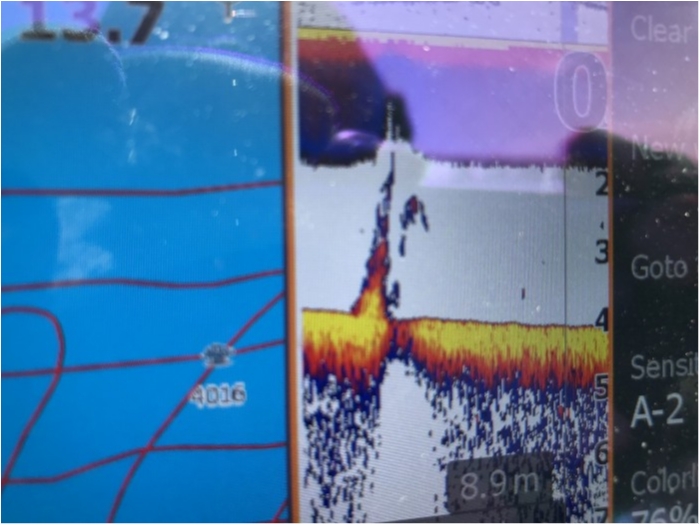 truth  ブログ写真 2019/12/09