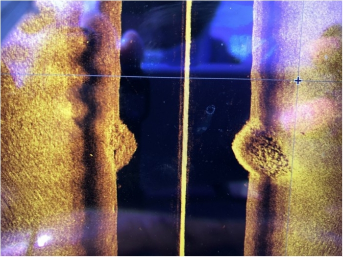 truth  ブログ写真 2019/12/09