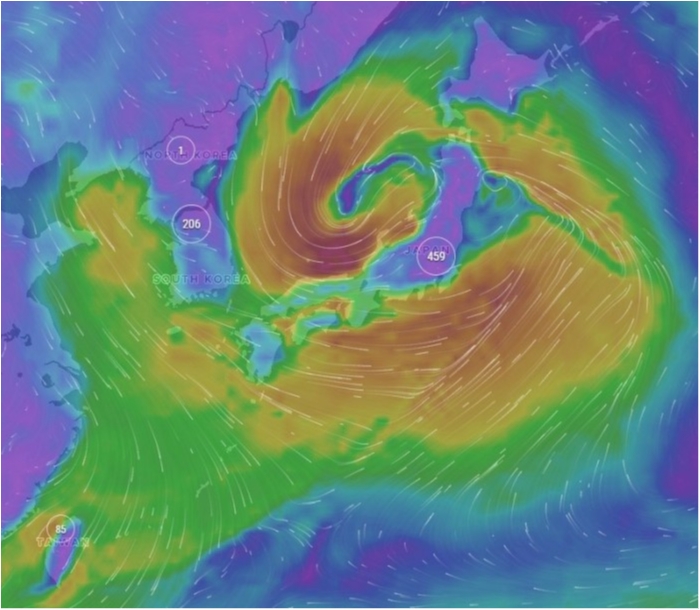 truth ブログ写真 2020/01/08