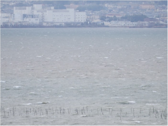 truth ブログ写真 2020/01/08