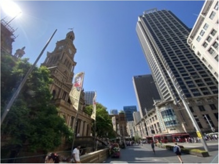 truth  ブログ写真 2020/02/01