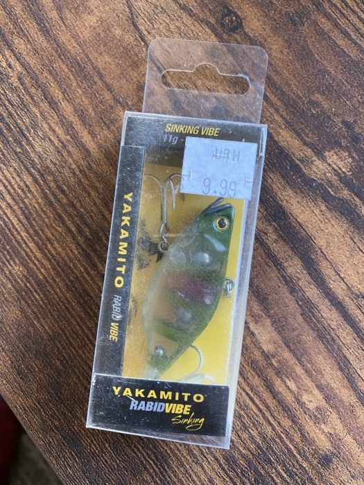 truth  ブログ写真 2020/02/04