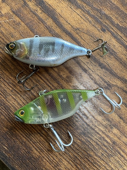 truth  ブログ写真 2020/02/04