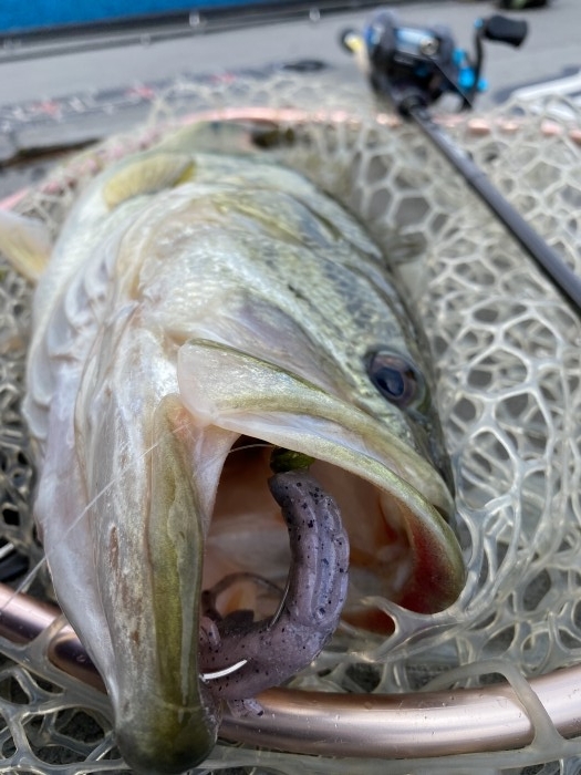 truth  ブログ写真 2020/04/12