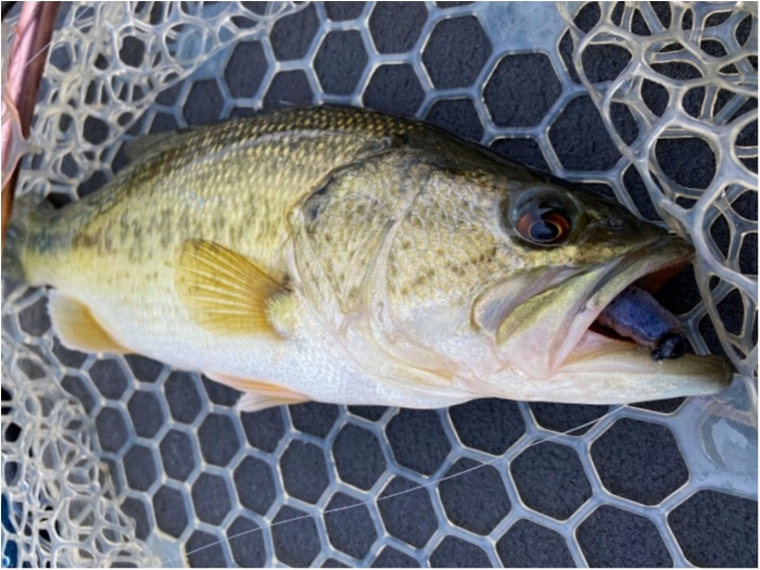 truth  ブログ写真 2020/04/14