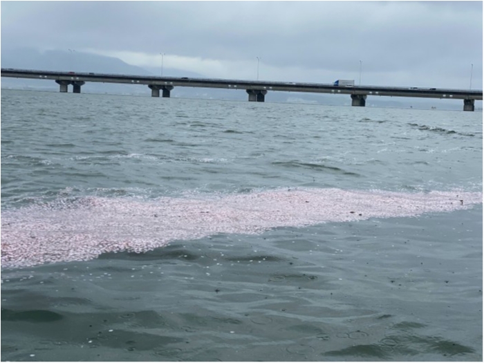 truth  ブログ写真 2020/04/14