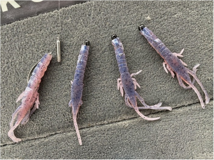 truth  ブログ写真 2020/04/14