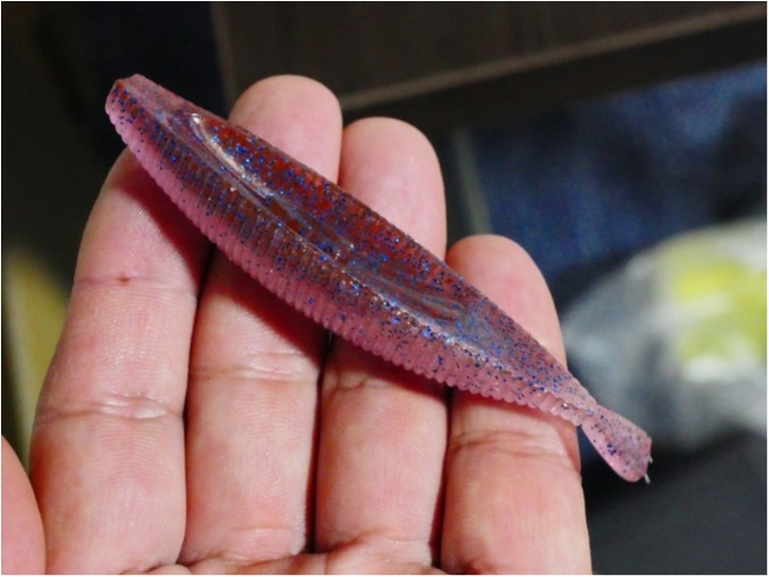 truth  ブログ写真 2020/05/04