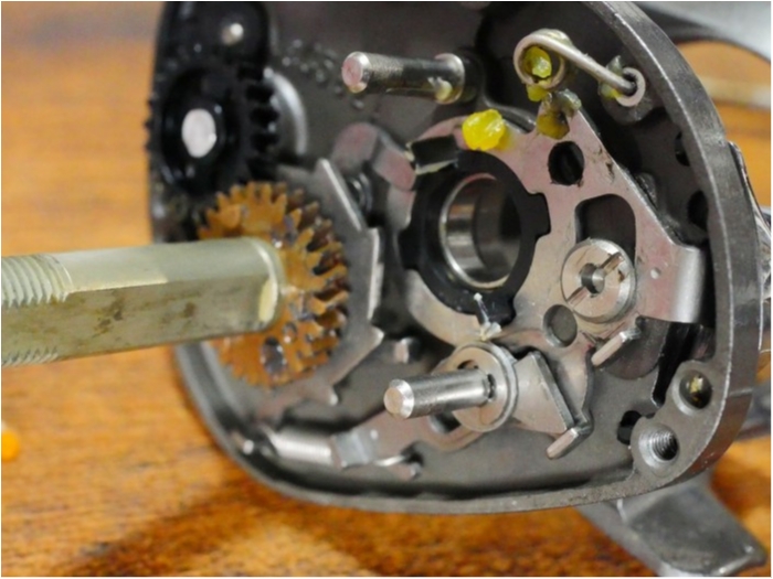 truth ブログ写真 2020/05/05