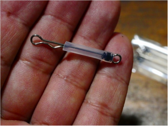 truth ブログ写真 2020/05/09