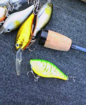 画像を等倍で表示します 画像