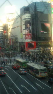 画像を等倍で表示します 画像