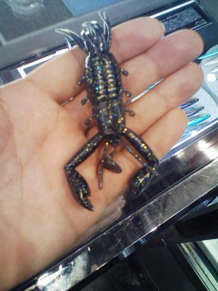 画像を等倍で表示します 画像