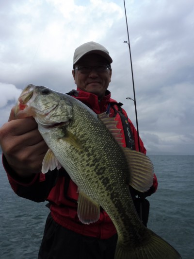 truth smiley_fishing_report ブログ写真 2015/06/21