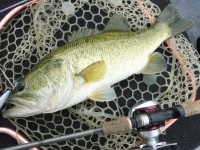 truth smiley_fishing_report ブログ写真 2015/07/02