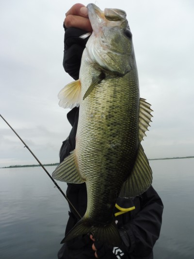 truth smiley_fishing_report ブログ写真 2015/07/07