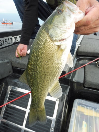 truth smiley_fishing_report ブログ写真 2015/09/23