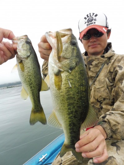 truth truth_news ブログ写真 2015/06/09