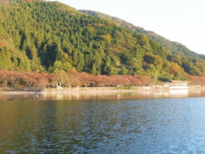 truth truth_news ブログ写真 2015/11/04